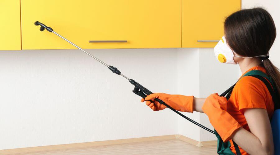Why choose North Oxford Bed Bug Heat Treatment for bed bug heat treatment in North Oxford